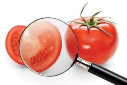 ISO 9001:2008 Certified Company